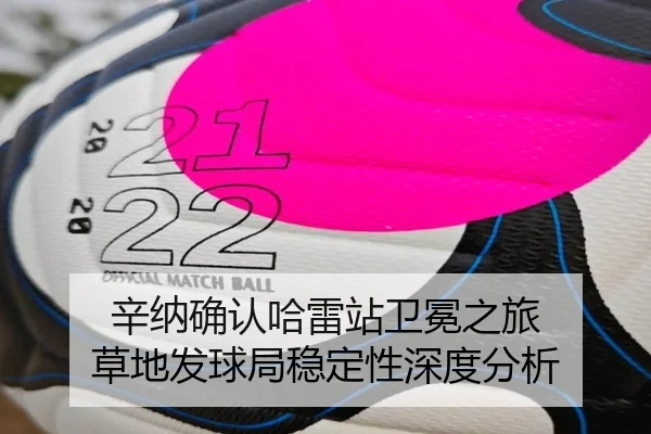 辛纳确认哈雷站卫冕之旅 草地发球局稳定性深度分析